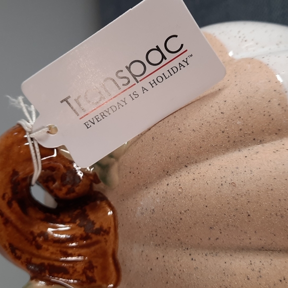 Ceramic Pumpkin Figure Tabletop Decor Fall Harvest Half Glazed White Na… - Picture 6 of 6